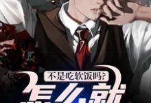 《不是吃软饭吗？怎么就真爱了！》小说免费阅读完整版-闪电文学