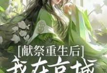 小说完整版《献祭重生后，我在京城大杀特杀！》免费阅读-闪电文学