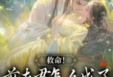 姜宛谢千砚小说《爱你太苦,这辈子打死我都不嫁了》完整版免费阅读-闪电文学