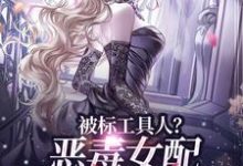 宋以宁小说被标工具人？恶毒女配甩男主求自由在线阅读章节-闪电文学