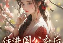 住进国公府后，我成了香饽饽！沈青梨魏缜，住进国公府后，我成了香饽饽！章节在线阅读-闪电文学