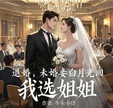 免费在线阅读退婚，未婚妻白月光回，我选姐姐小说的正规网站有哪些？