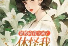 婆婆向我立威？休怪我一拳让你老实小说完结版章节免费阅读-闪电文学