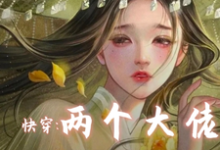 快穿两个大佬别关了不逃了完整版小说,快穿两个大佬别关了不逃了免费阅读-闪电文学