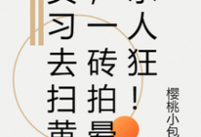 《实习去扫黄,一砖拍晕杀人狂!》小说严旭杰章节章节免费在线阅读-闪电文学