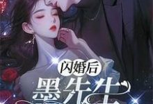 小说完整版《闪离后:墨先生别来无恙》免费阅读-闪电文学
