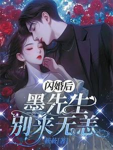 小说完整版《闪离后：墨先生别来无恙》免费阅读
