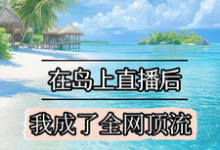 《在岛上直播后，我成了全网顶流》小说免费阅读完整版-闪电文学