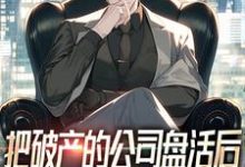 已完结小说《把破产的公司盘活后,顺便震惊全球》章节在线阅读-闪电文学