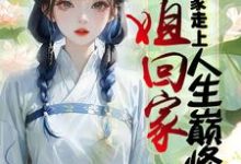 长姐回家,带领全家走上人生巅峰最新章节,长姐回家,带领全家走上人生巅峰免费阅读-闪电文学