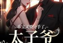 乖宝又要分手了,太子爷求贴贴小说无弹窗阅读的网站推荐-闪电文学