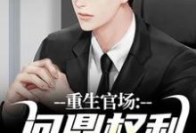 已完结小说《重生官场：问鼎权利之巅》在线章节阅读-闪电文学
