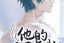 他的眼里有我傅温乔小说免费阅读-闪电文学