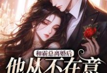 已完结小说《和霸总离婚后，他从不在意变求复婚》章节在线阅读-闪电文学