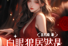沈确小说免费阅读完整版-闪电文学
