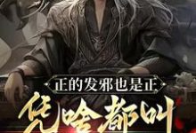 《正的发邪也是正,凭啥都叫我魔头》小说章节列表免费试读,陆风小说在线阅读-闪电文学
