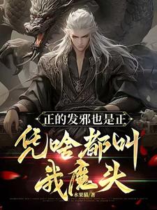《正的发邪也是正，凭啥都叫我魔头》小说章节列表免费试读，陆风小说在线阅读