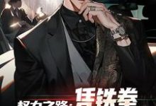 权力之路:凭铁拳,我令黑势力退避步青云小说大结局免费试读-闪电文学