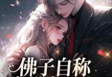完整版小说《佛子自称空巢老男人？我真的笑了》免费阅读-闪电文学