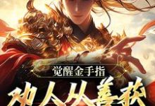 小说《觉醒金手指：劝人从善获决定武力值》章节免费阅读-闪电文学