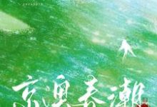 免费看京澳春潮小说的网站有哪些?-闪电文学