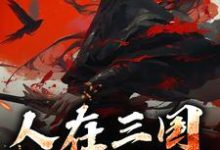 刘锦小说《人在三国，一统江山》完整版免费阅读-闪电文学