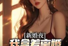 新婚夜，我拿着离婚协议黯然离场完整版小说免费阅读，新婚夜，我拿着离婚协议黯然离场小说-闪电文学