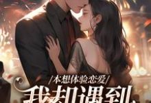 盛夏小说在线章节免费阅读(本想体验恋爱,我却遇到坑爹大佬!无弹窗无删减)-闪电文学