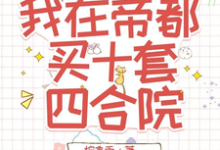 陆晚柠小说叫什么（玄学鉴宝，我在帝都买十套四合院完整版免费阅读）-闪电文学