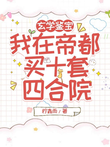 陆晚柠小说叫什么（玄学鉴宝，我在帝都买十套四合院完整版免费阅读）