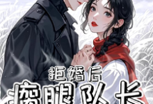 拒婚后,瘸腿队长洗床单这本小说在哪里可以看?哪里有免费试读章节?-闪电文学