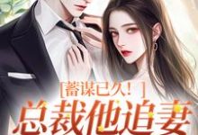 蓄谋已久!总裁他追妻套路为零小说无弹窗阅读的网站推荐-闪电文学