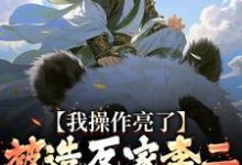被造反家李二抓住造反？我操作亮了完整版小说，被造反家李二抓住造反？我操作亮了李承乾-闪电文学