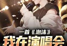 寻找能够免费阅读一首《泡沫》,我在演唱会红过歌星小说的平台-闪电文学
