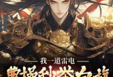 黄殊小说《我一道雷电,曹操秒举白旗向我屈服》完整版免费阅读-闪电文学