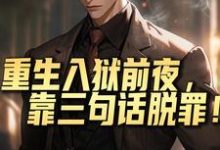小说《重生入狱前夜,靠三句话脱罪!》在线章节阅读-闪电文学