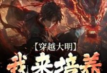 穿越大明：我来培养一代帝王任以虚小说在线章节目录阅读最新章节-闪电文学