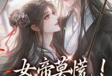 楚言苏锦辞小说免费阅读完整版-闪电文学