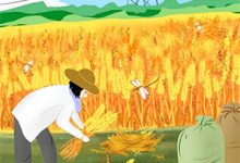 小说《重生回到出嫁那天，我不换亲了》章节免费阅读-闪电文学