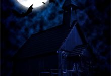 言扶桑完整版《前夫置我于死地，重生复仇他怕了》小说免费阅读-闪电文学