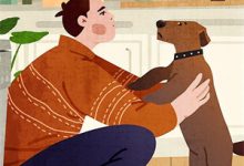 常梨厉晏舟小说《路遥星亦迟》在线阅读-闪电文学