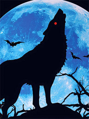 重生离婚后，赵总怒砸相亲桌最新章节，重生离婚后，赵总怒砸相亲桌章节在线阅读