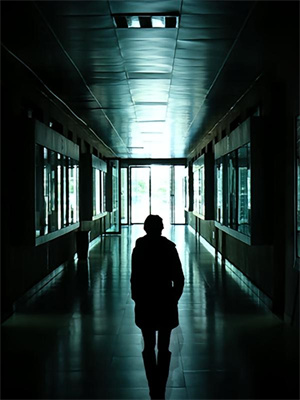 太子要娶以身饲虎的庶妹，我退婚他悔疯了小说，太子要娶以身饲虎的庶妹，我退婚他悔疯了章节在线阅读